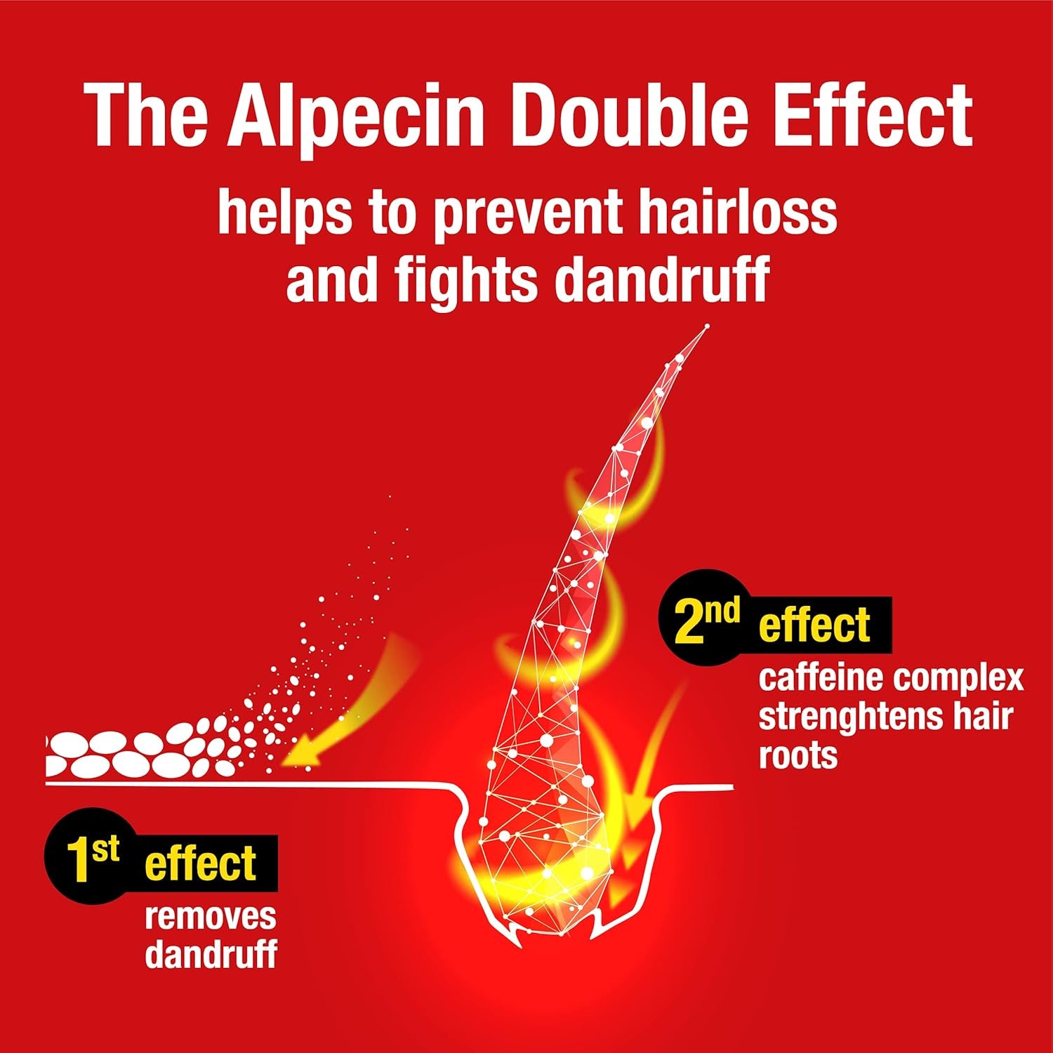 Double Effect Shampoo 3X 200ml | Anti-Dandruff and Natural Hair Growth Formula | Energizing Treatment for Strong Hair | Men's Hair Care, Made in Germany